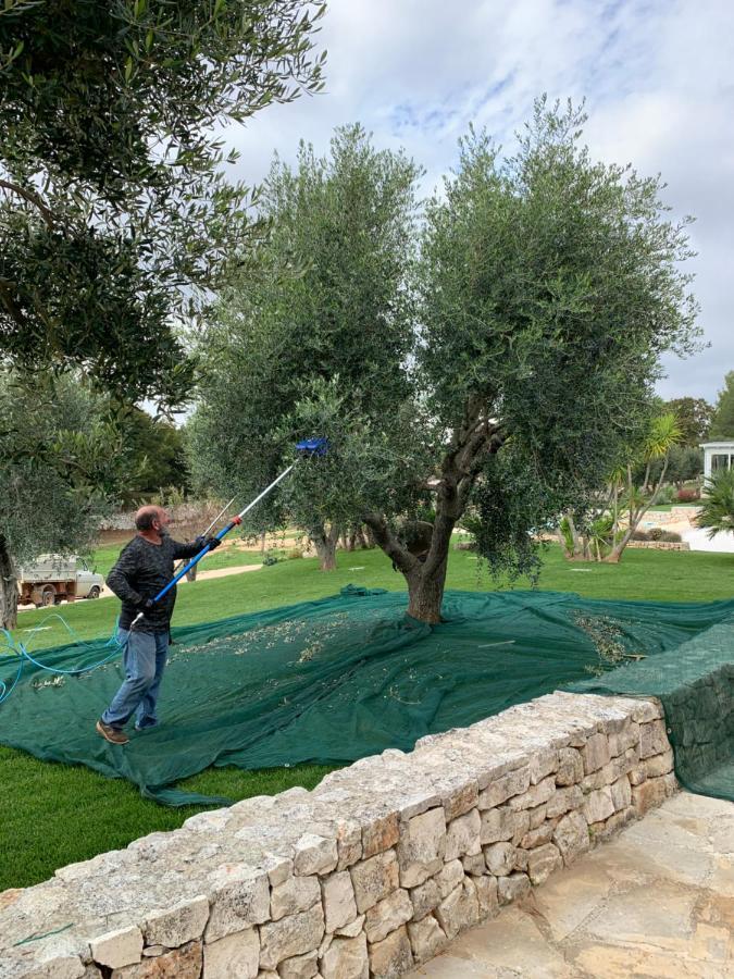 Villa Moresca Dei Trulli Fernando Ostuni Kültér fotó