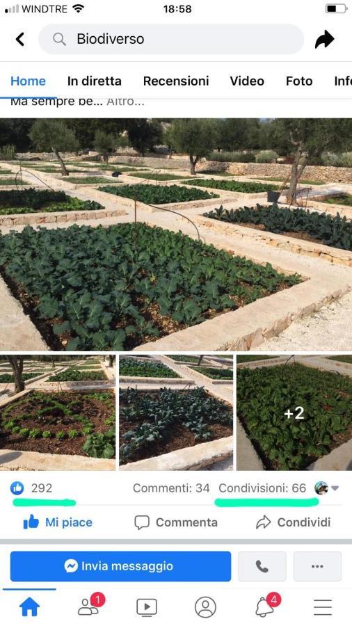 Villa Moresca Dei Trulli Fernando Ostuni Kültér fotó