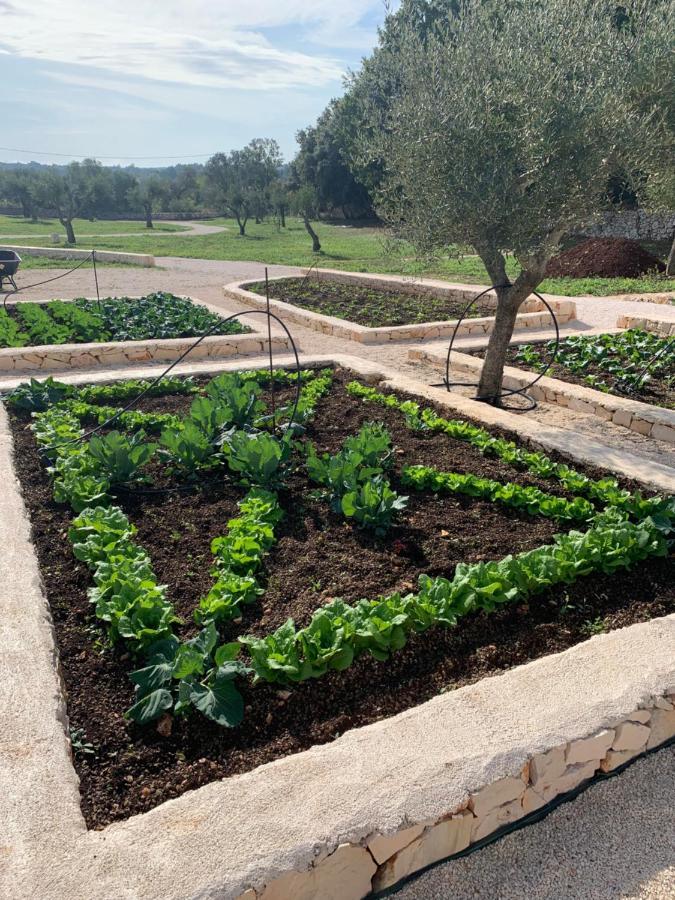 Villa Moresca Dei Trulli Fernando Ostuni Kültér fotó