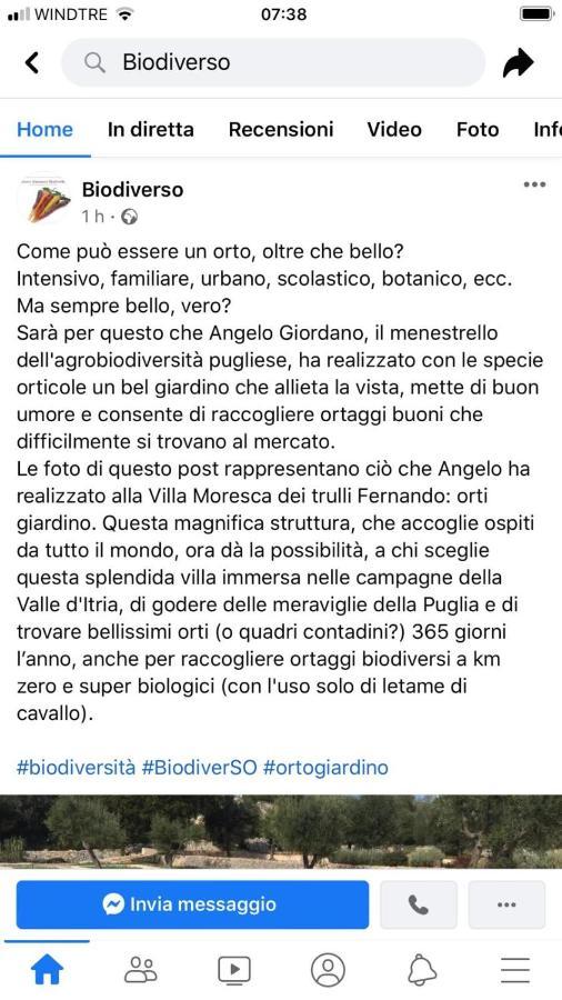 Villa Moresca Dei Trulli Fernando Ostuni Kültér fotó