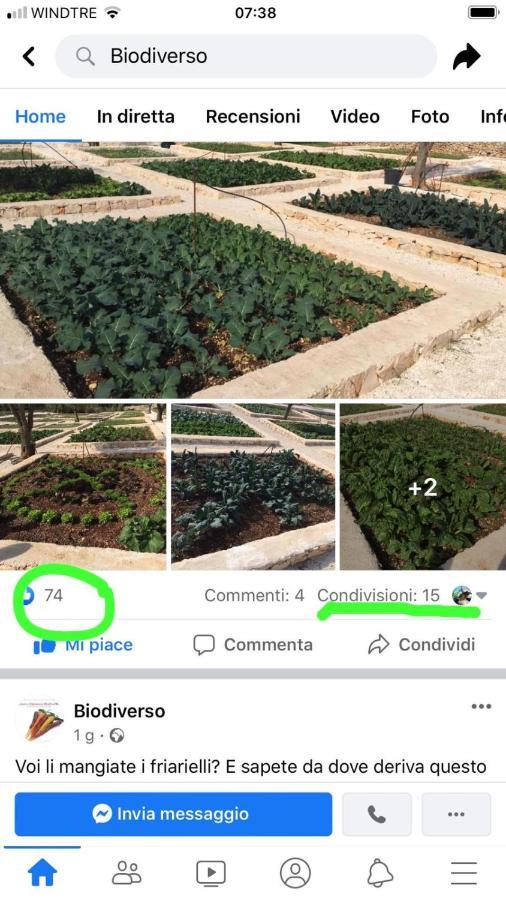 Villa Moresca Dei Trulli Fernando Ostuni Kültér fotó